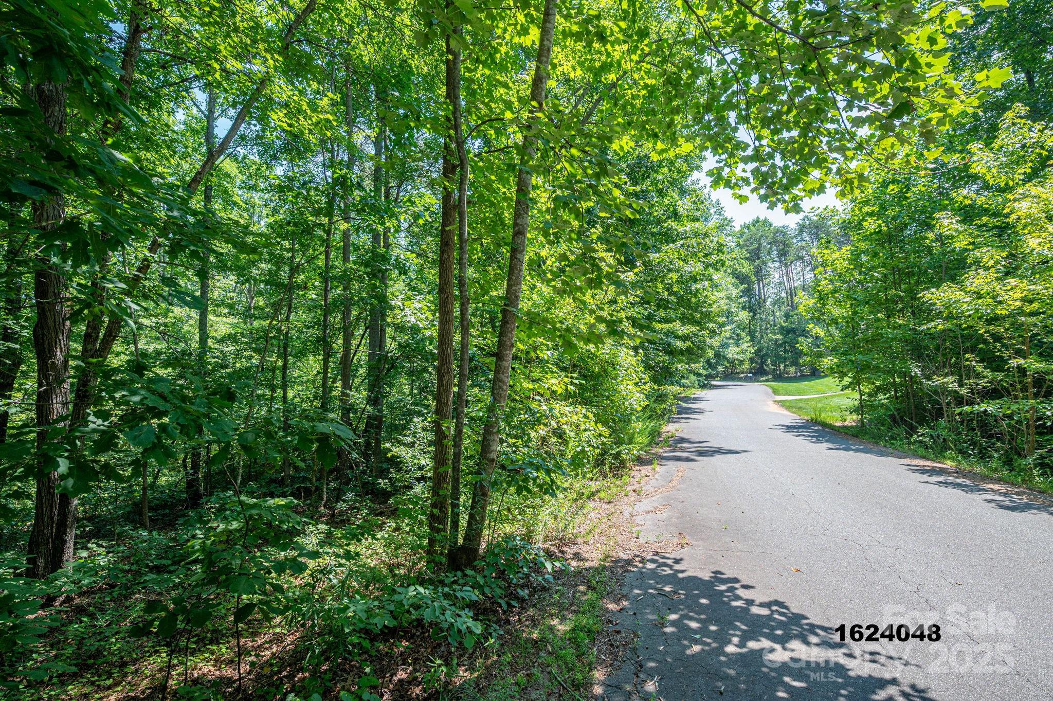 Lot Washburn Lane Rutherfordton NC 28139
