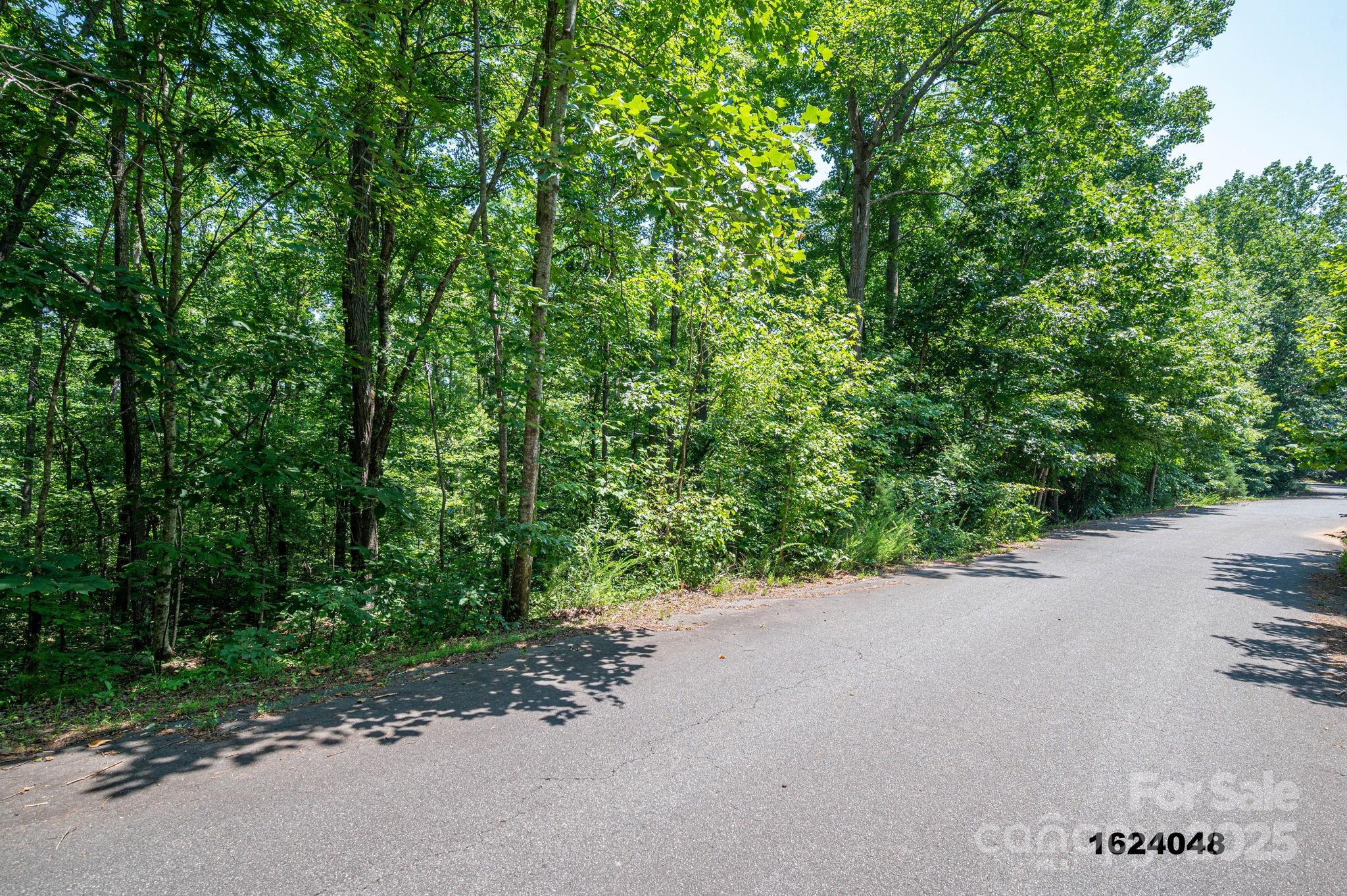 Lot Washburn Lane Rutherfordton NC 28139
