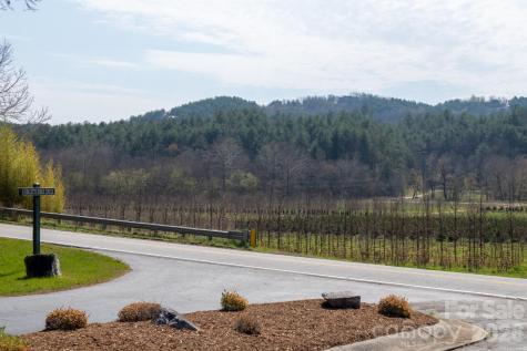 Tbd Ritter Ridge Lane Collettsville NC 28611