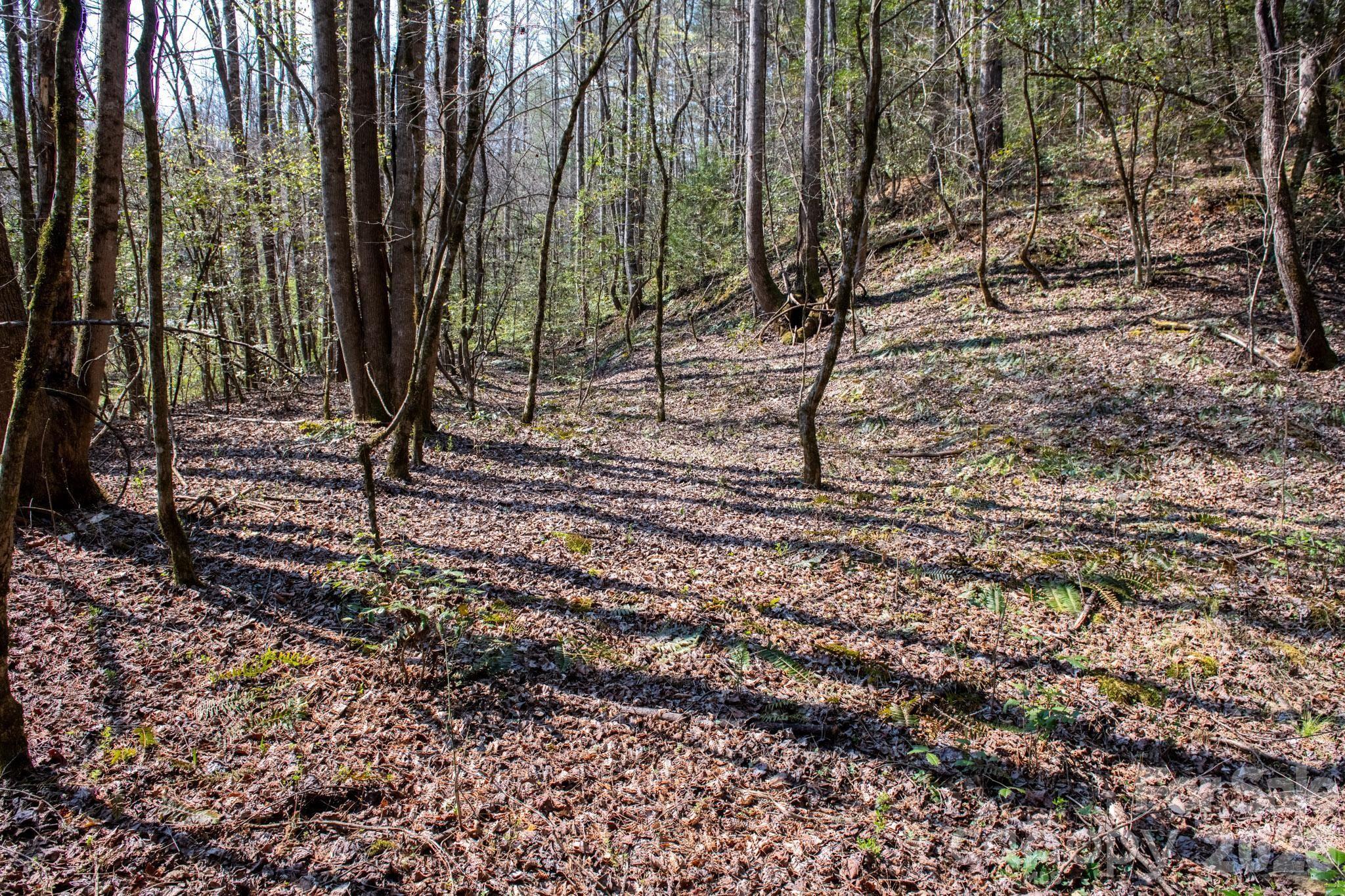 Tbd Ritter Ridge Lane Collettsville NC 28611