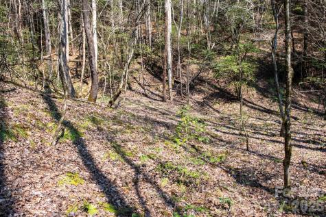 Tbd Ritter Ridge Lane Collettsville NC 28611