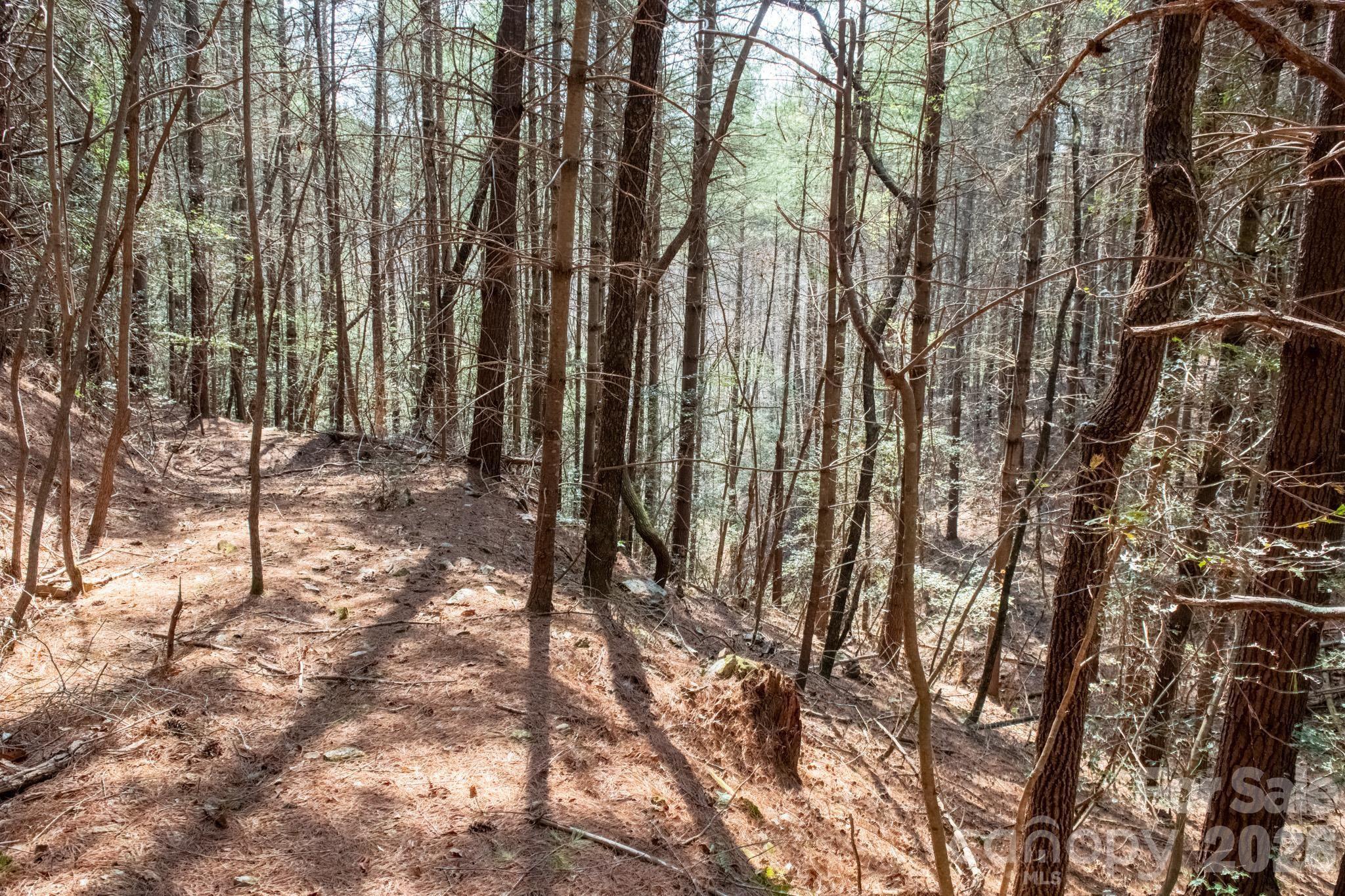 Tbd Ritter Ridge Lane Collettsville NC 28611