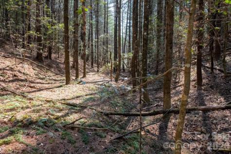 Tbd Ritter Ridge Lane Collettsville NC 28611