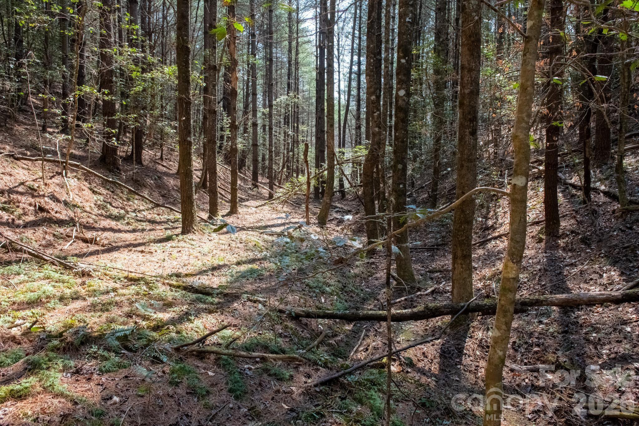 Tbd Ritter Ridge Lane Collettsville NC 28611