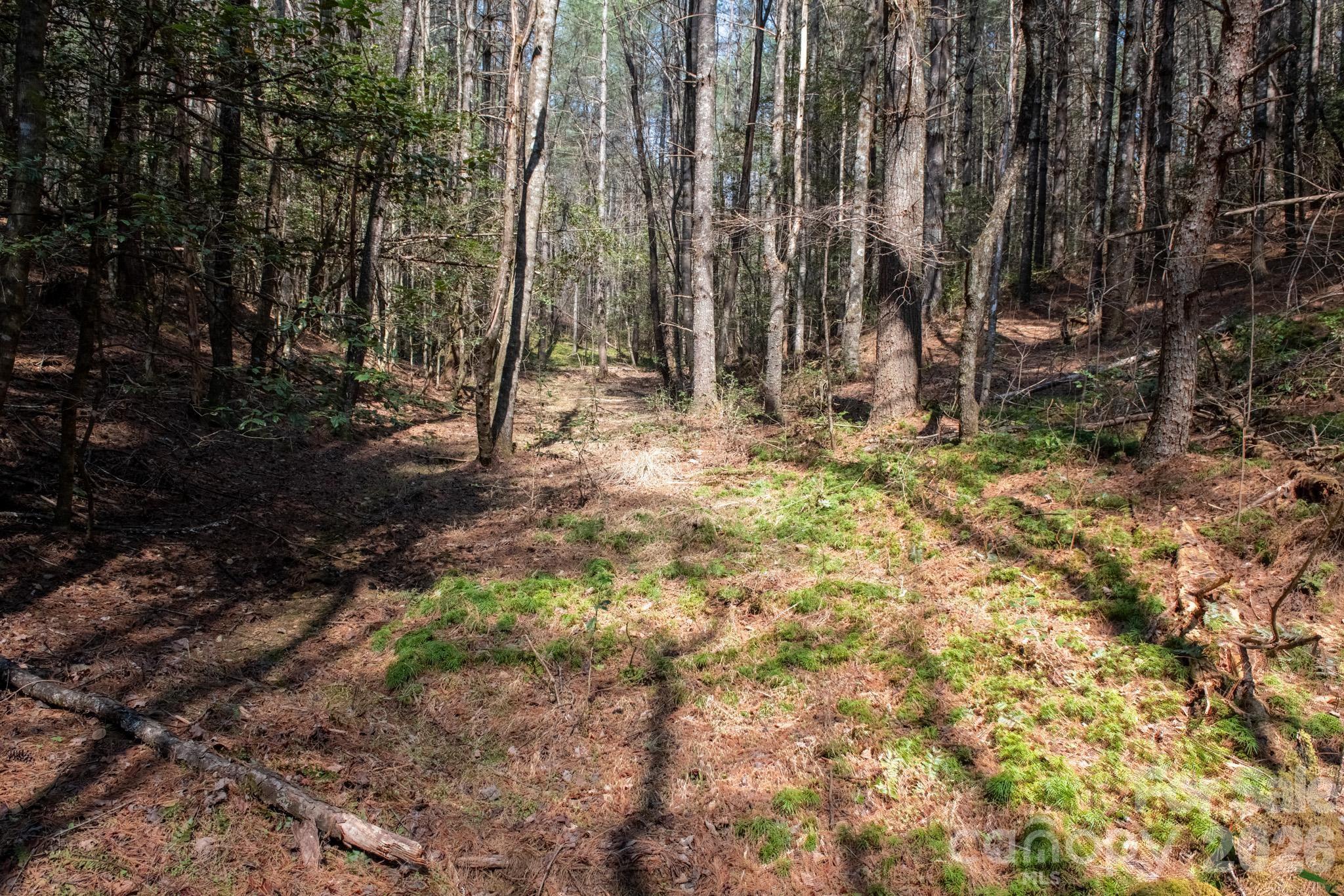 Tbd Ritter Ridge Lane Collettsville NC 28611