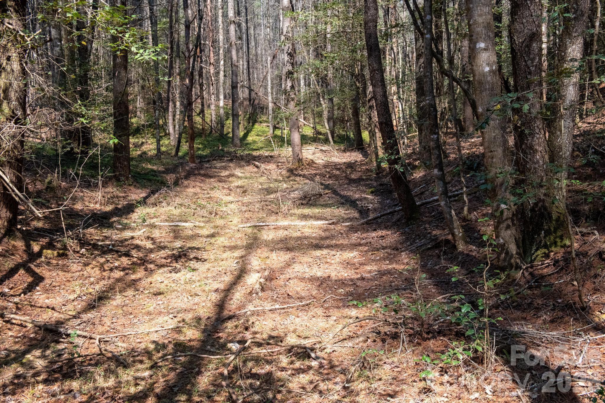 Tbd Ritter Ridge Lane Collettsville NC 28611