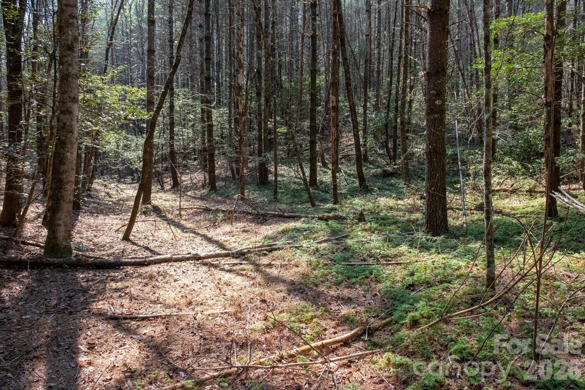 Tbd Ritter Ridge Lane Collettsville NC 28611