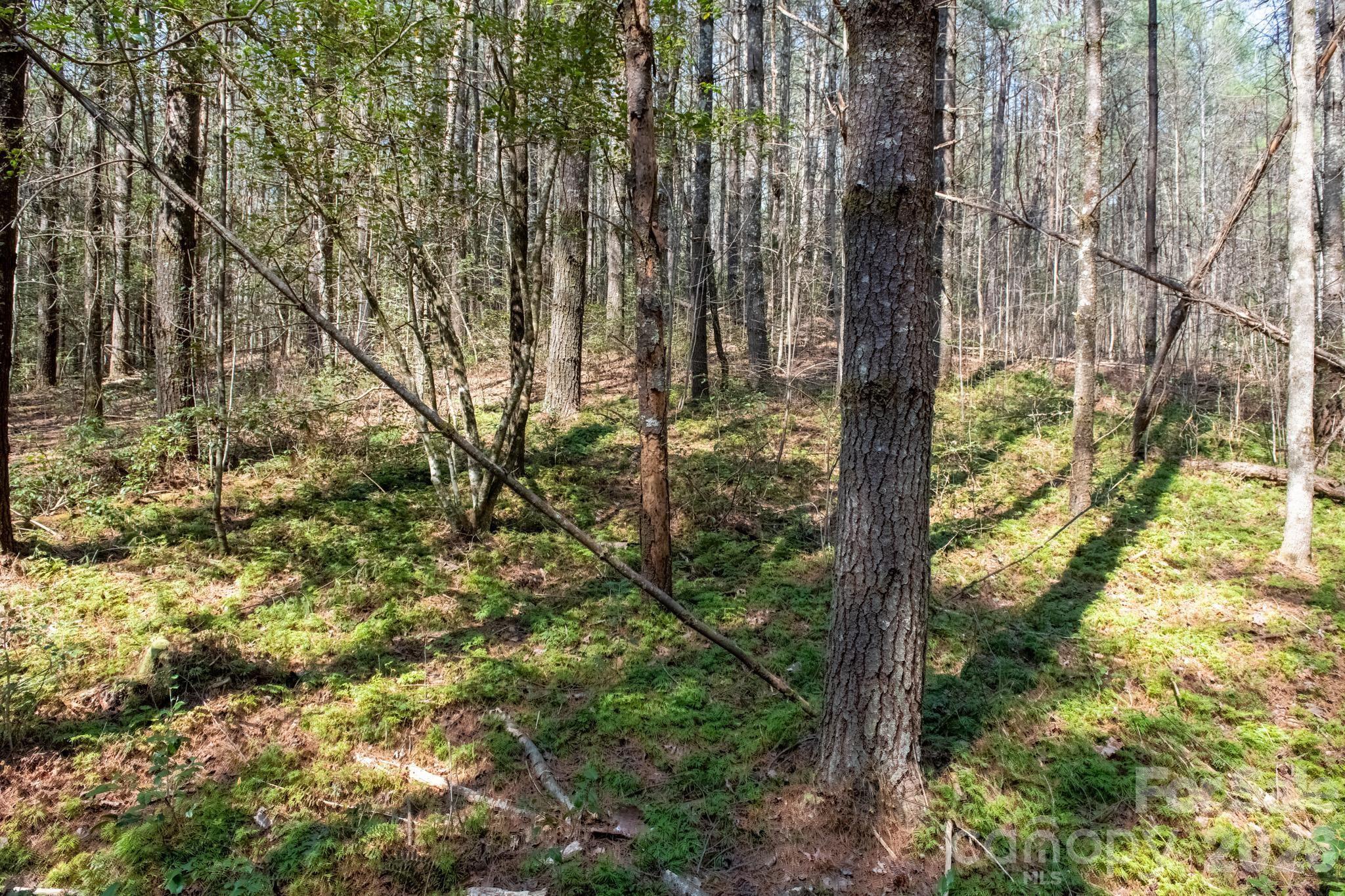 Tbd Ritter Ridge Lane Collettsville NC 28611