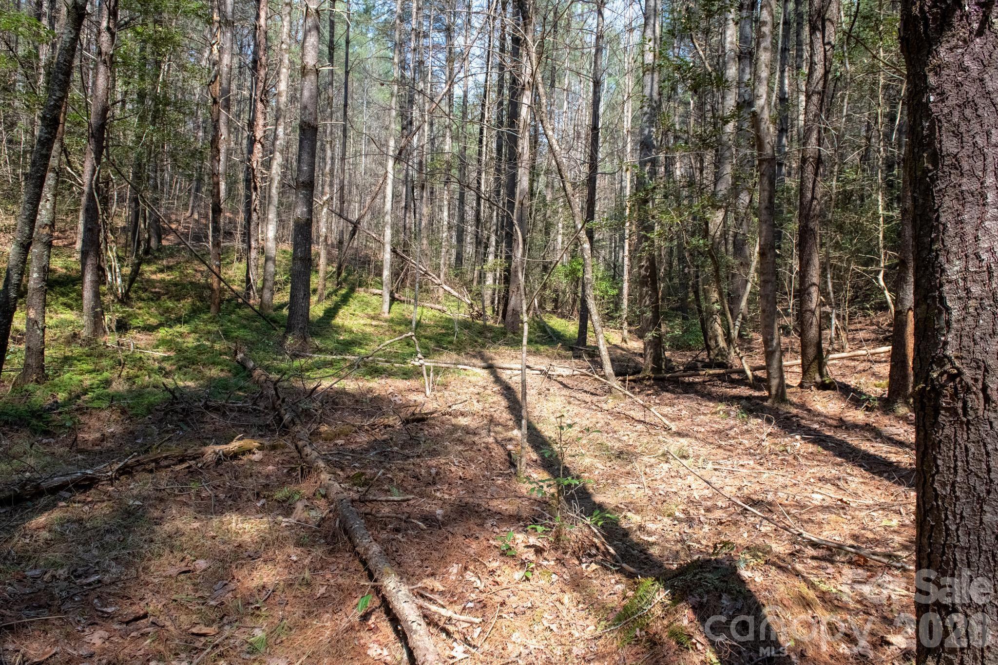 Tbd Ritter Ridge Lane Collettsville NC 28611