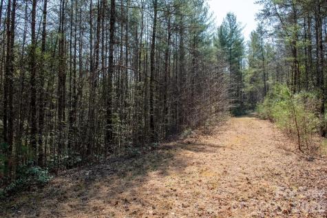 Tbd Ritter Ridge Lane Collettsville NC 28611