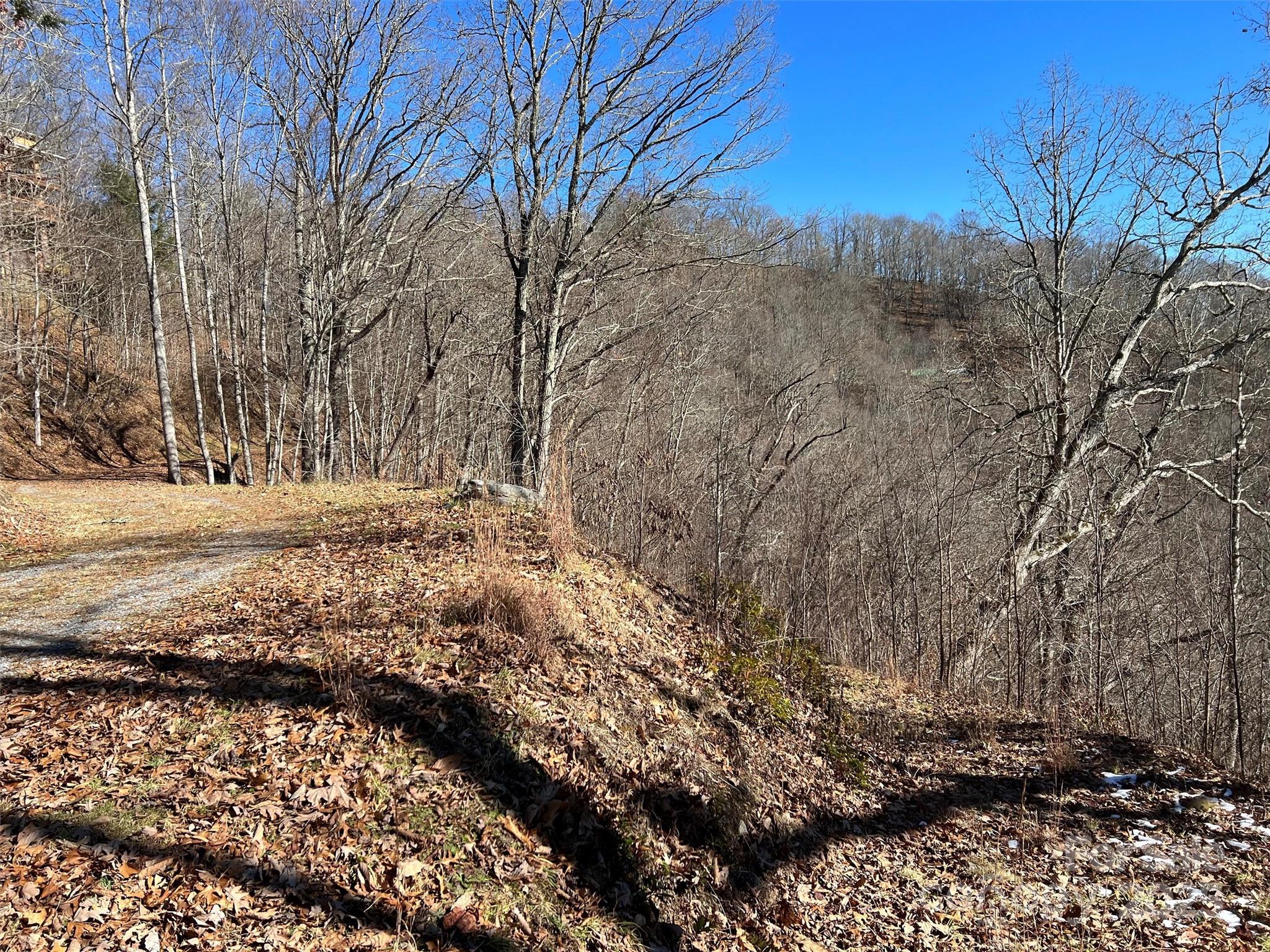 00 Barn Cove Road Clyde NC 28721