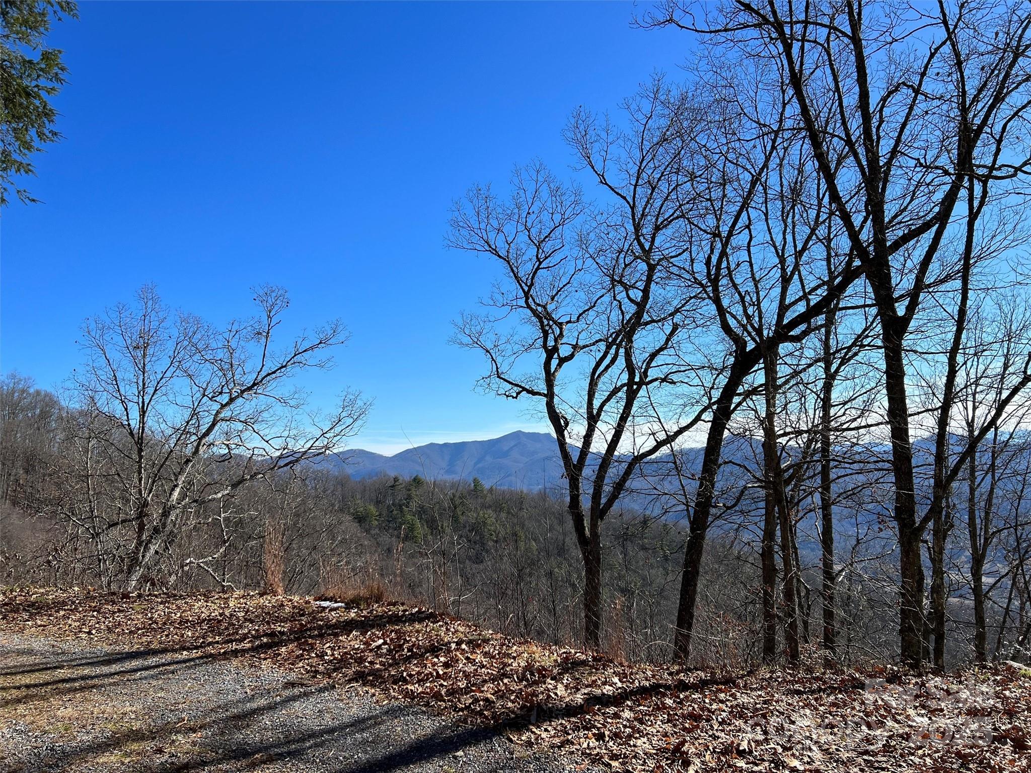 00 Barn Cove Road Clyde NC 28721
