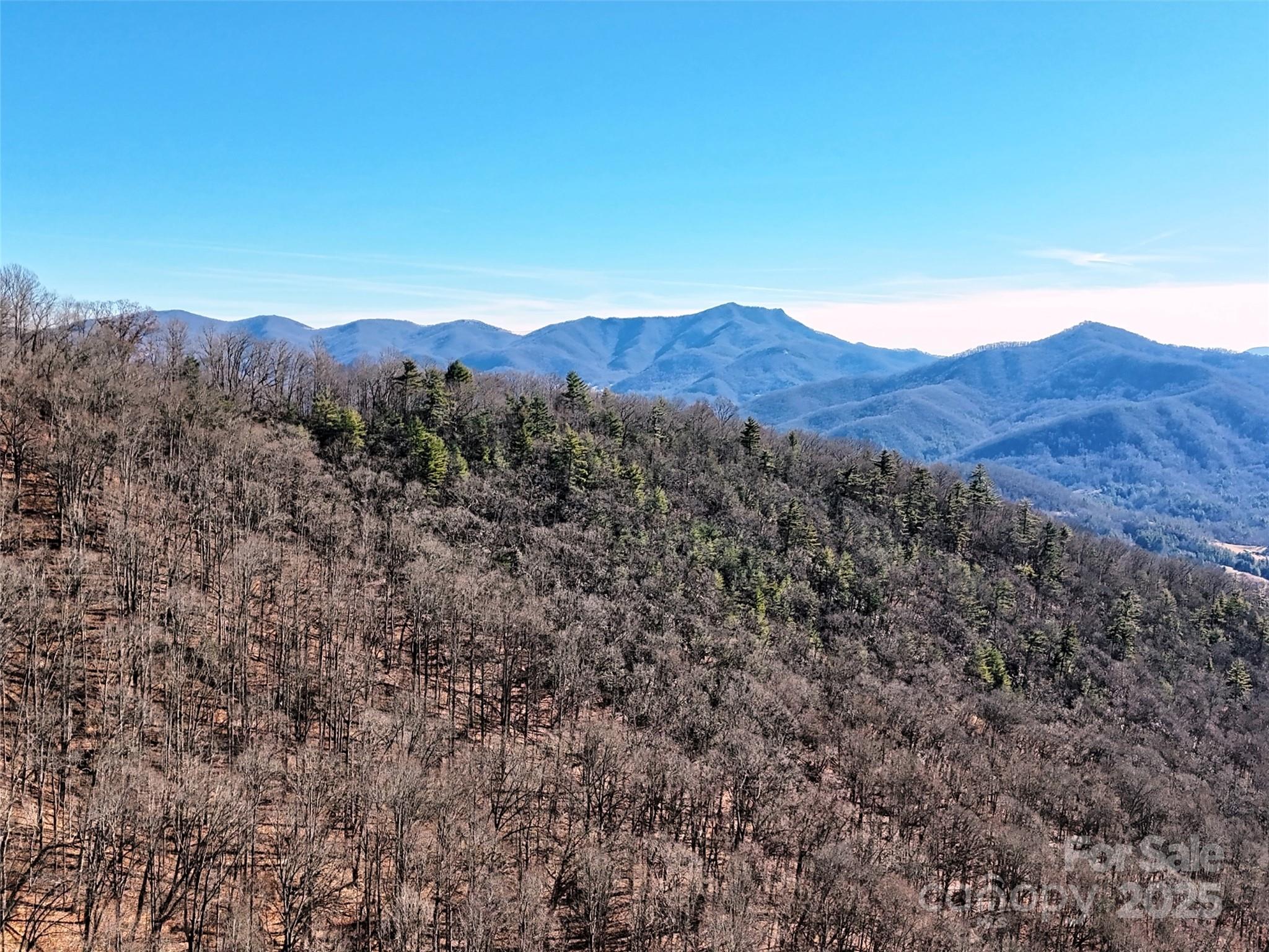 00 Barn Cove Road Clyde NC 28721