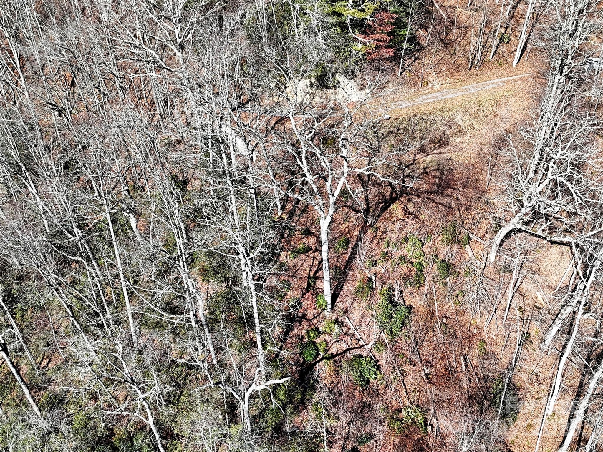 00 Barn Cove Road Clyde NC 28721