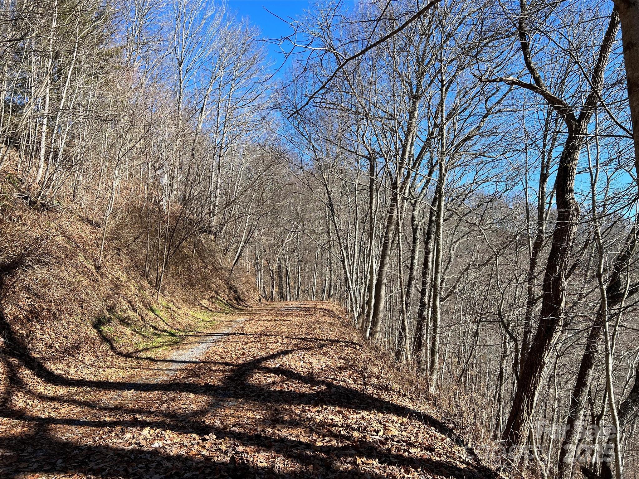 00 Barn Cove Road Clyde NC 28721