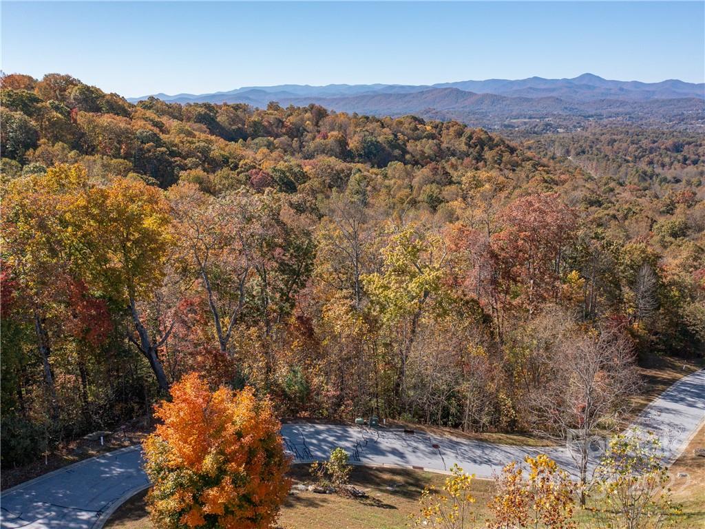 1736 Wood Owl Court Hendersonville NC 28791