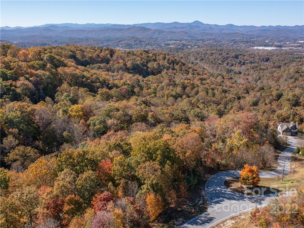 1736 Wood Owl Court Hendersonville NC 28791