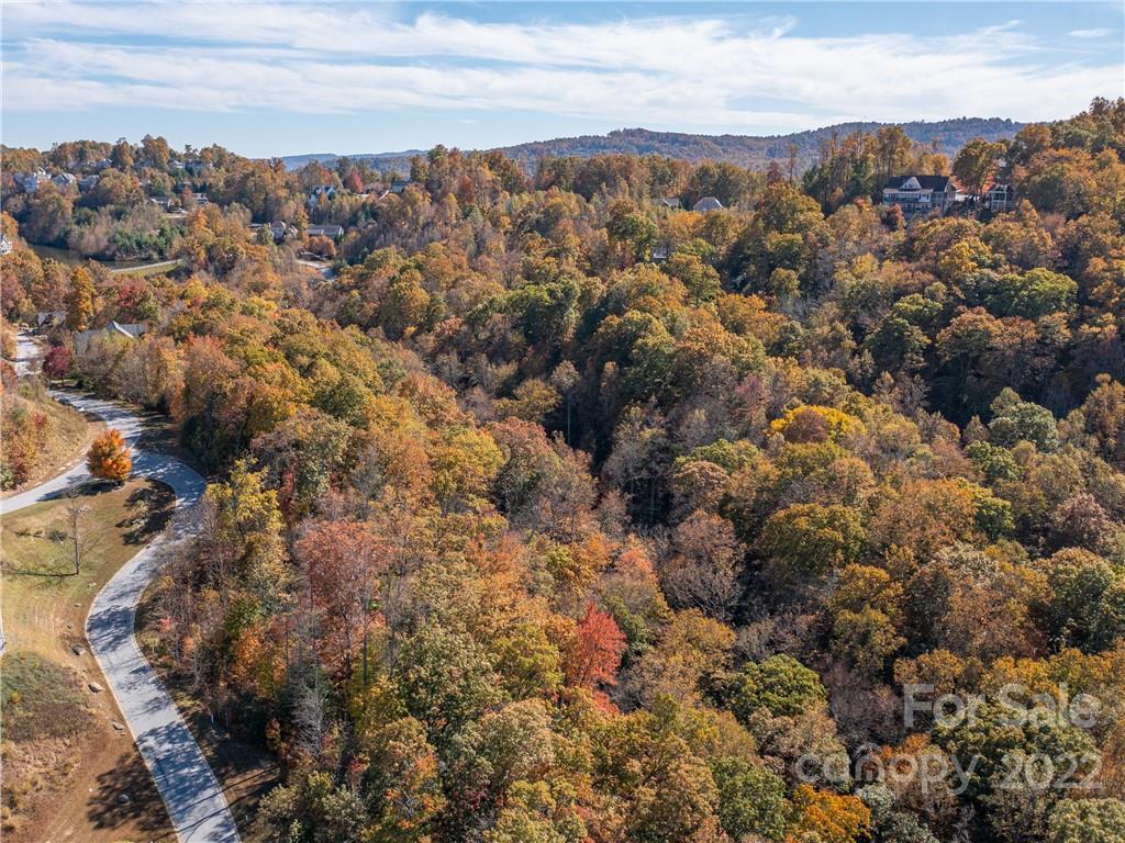 1736 Wood Owl Court Hendersonville NC 28791