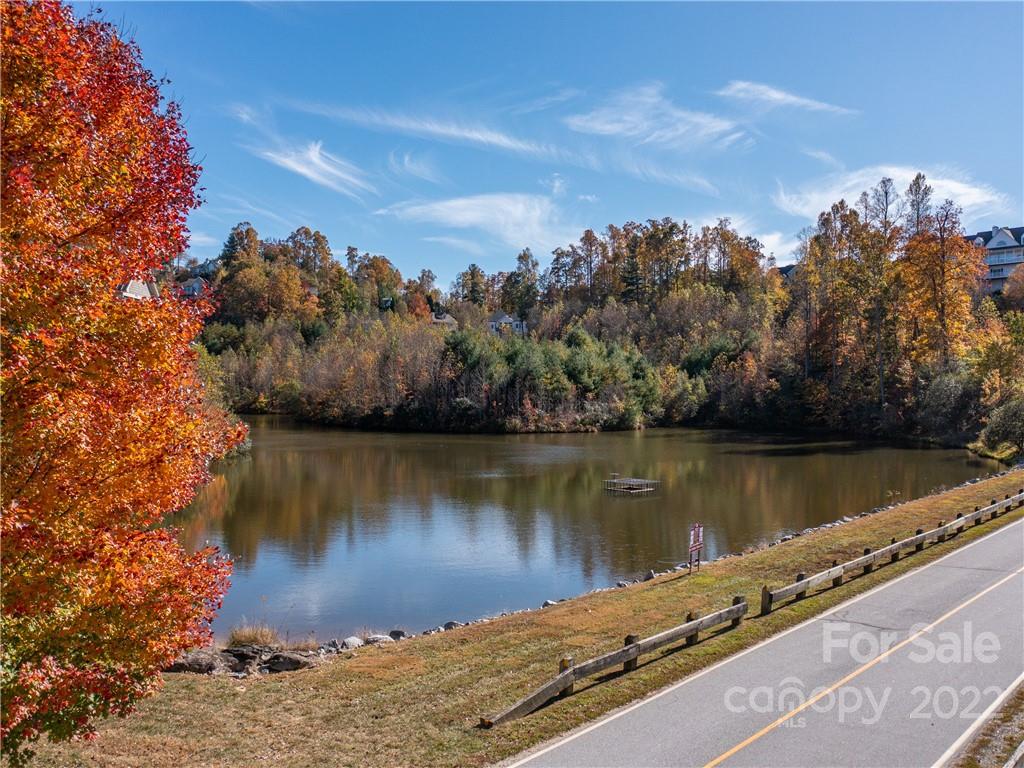 1736 Wood Owl Court Hendersonville NC 28791