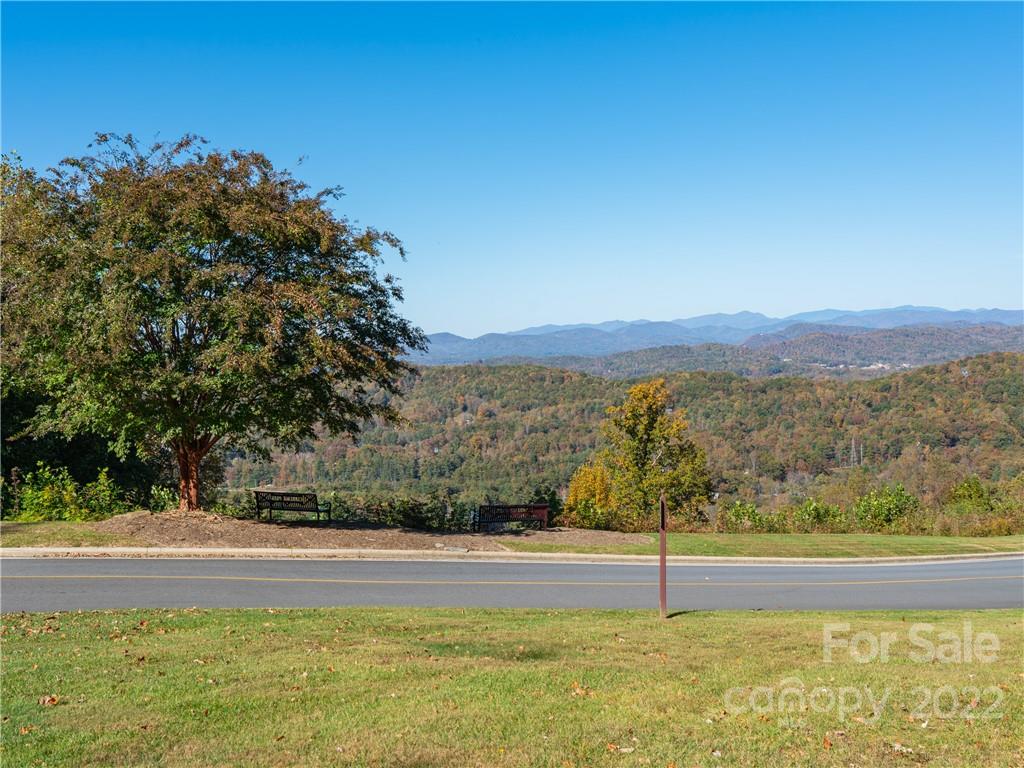 1736 Wood Owl Court Hendersonville NC 28791