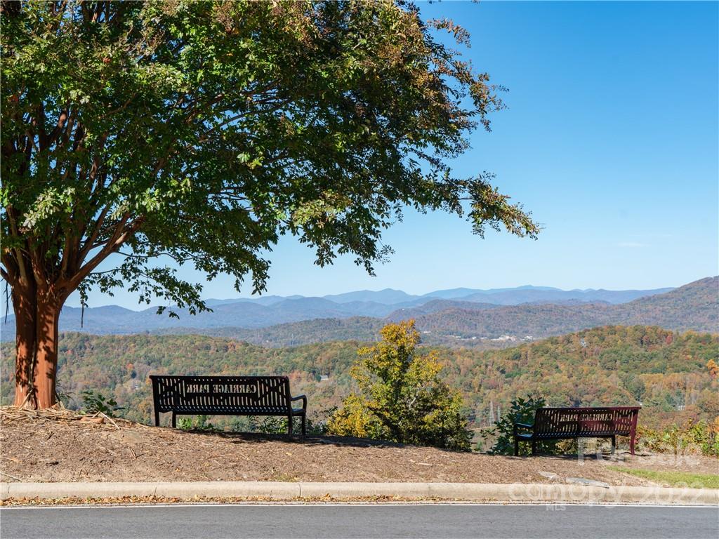 1736 Wood Owl Court Hendersonville NC 28791