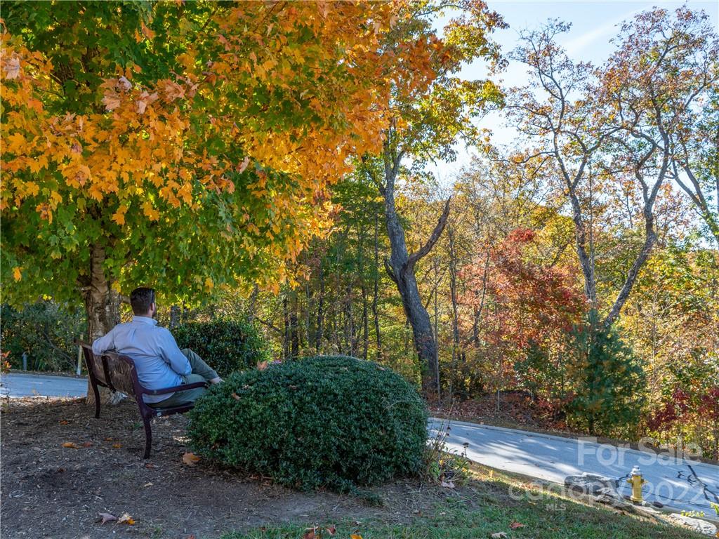 1736 Wood Owl Court Hendersonville NC 28791