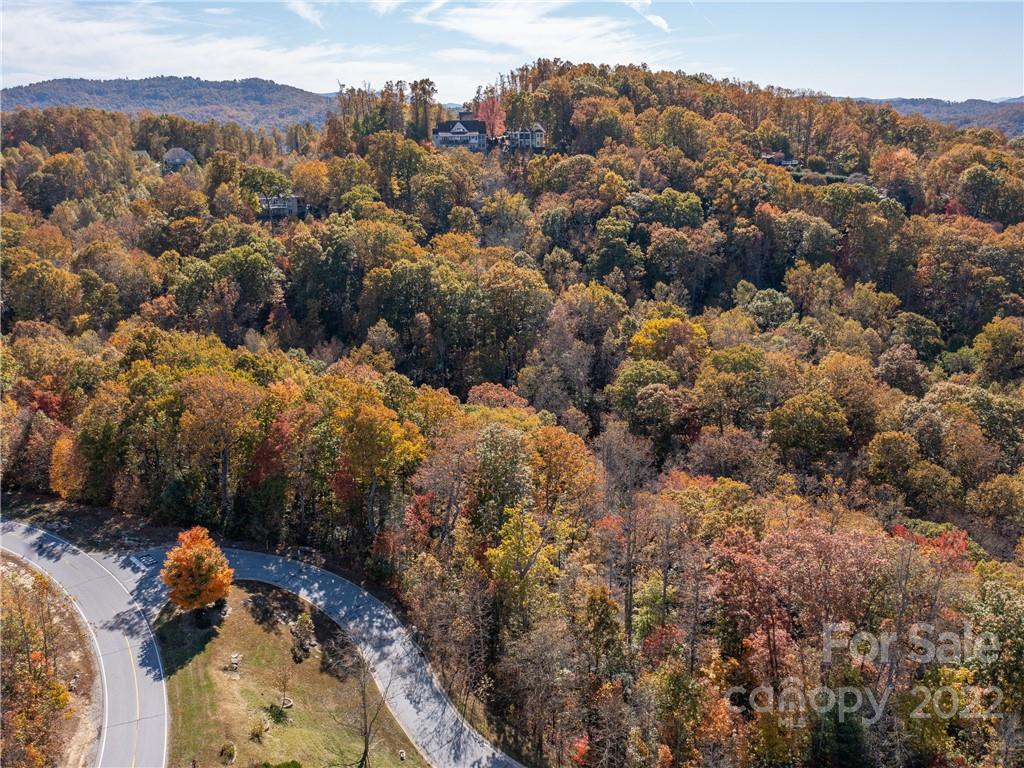 1736 Wood Owl Court Hendersonville NC 28791