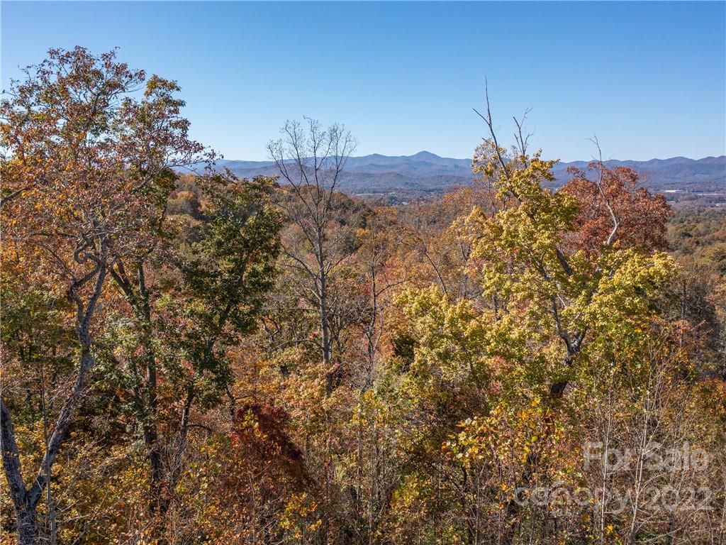 1736 Wood Owl Court Hendersonville NC 28791