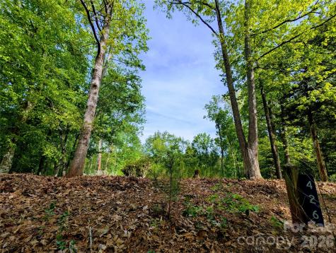 426 Mountain Ridge Court Fort Mill SC 29707