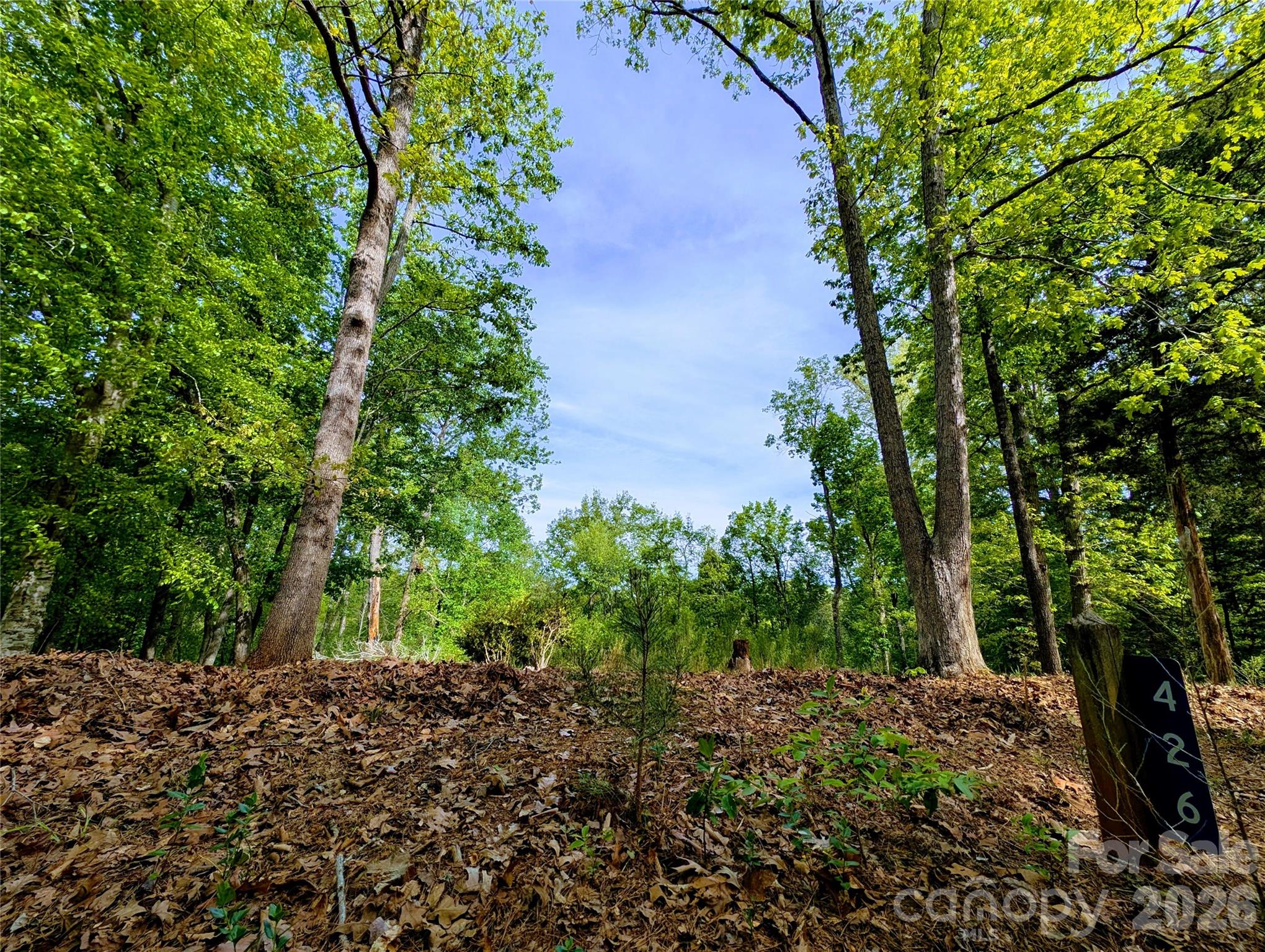 426 Mountain Ridge Court Fort Mill SC 29707