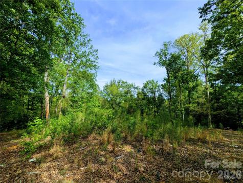 426 Mountain Ridge Court Fort Mill SC 29707
