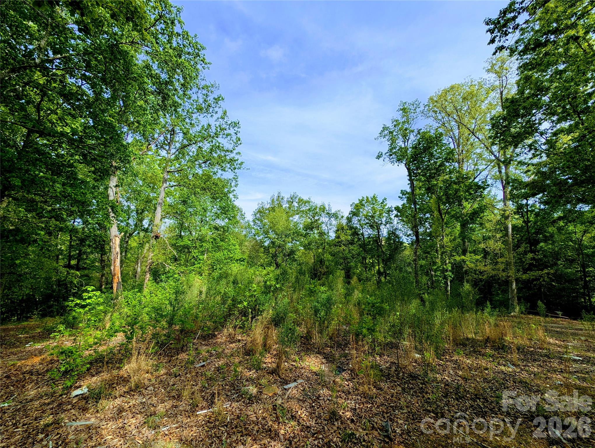426 Mountain Ridge Court Fort Mill SC 29707