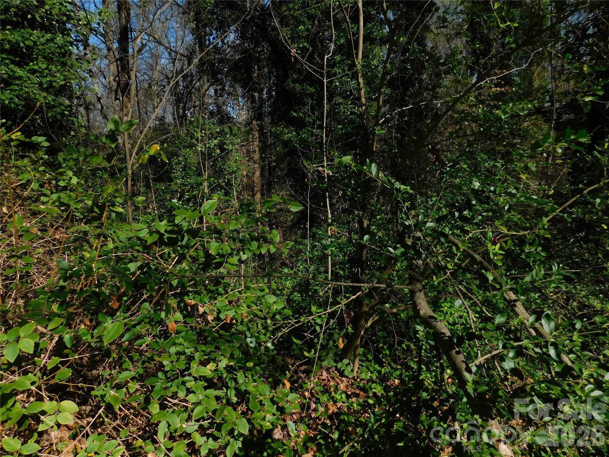 000 Todd Drive NE Concord NC 28025
