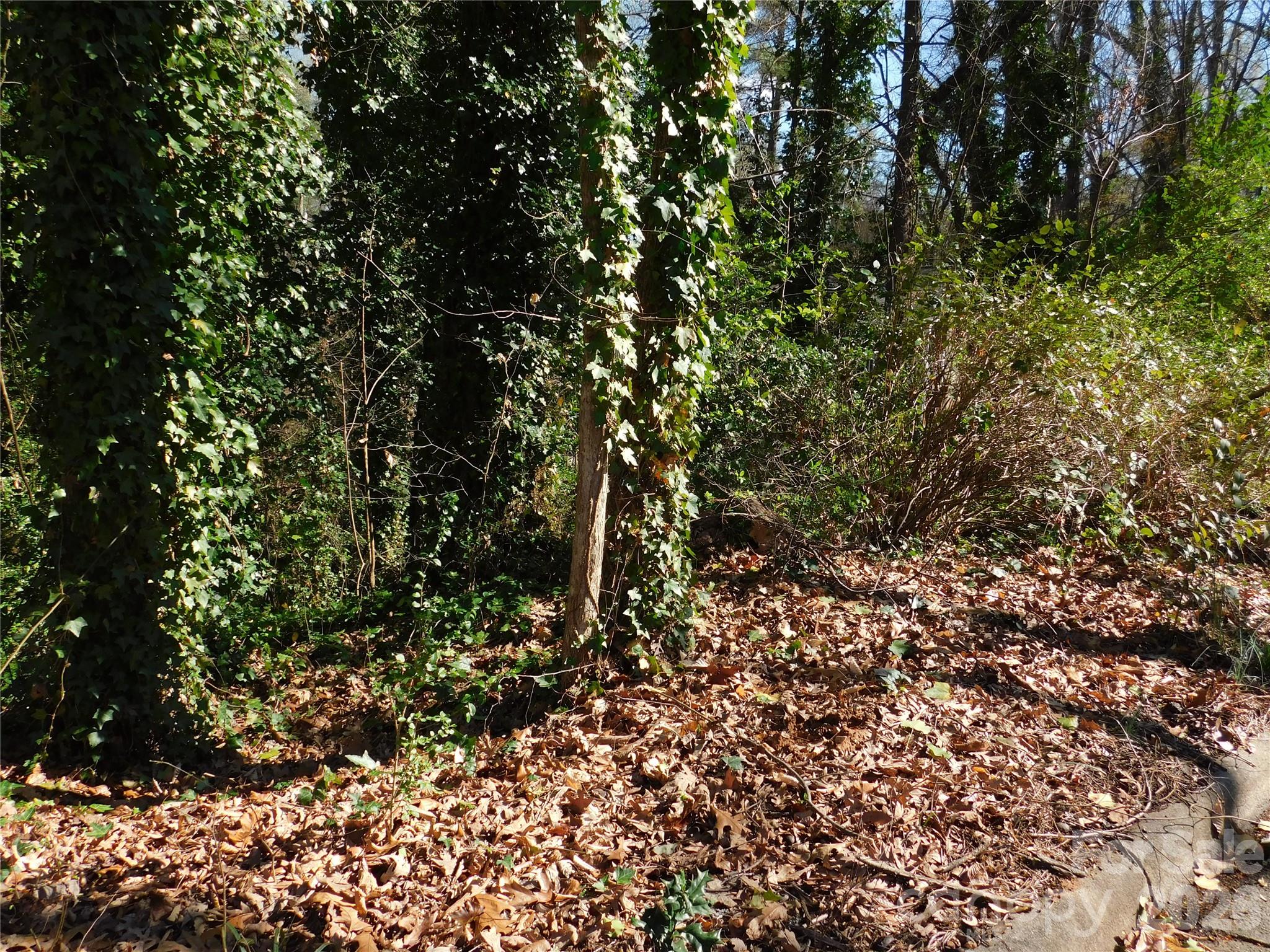 000 Todd Drive NE Concord NC 28025