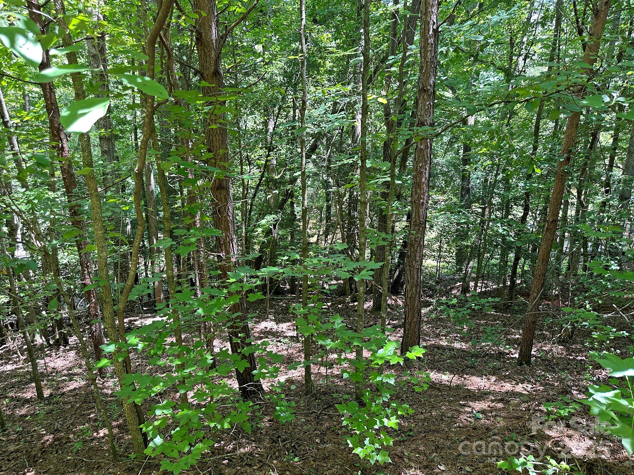 547 Stewart Rock Road Stony Point NC 28678