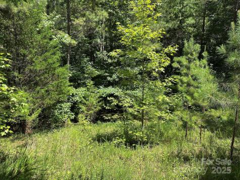 547 Stewart Rock Road Stony Point NC 28678