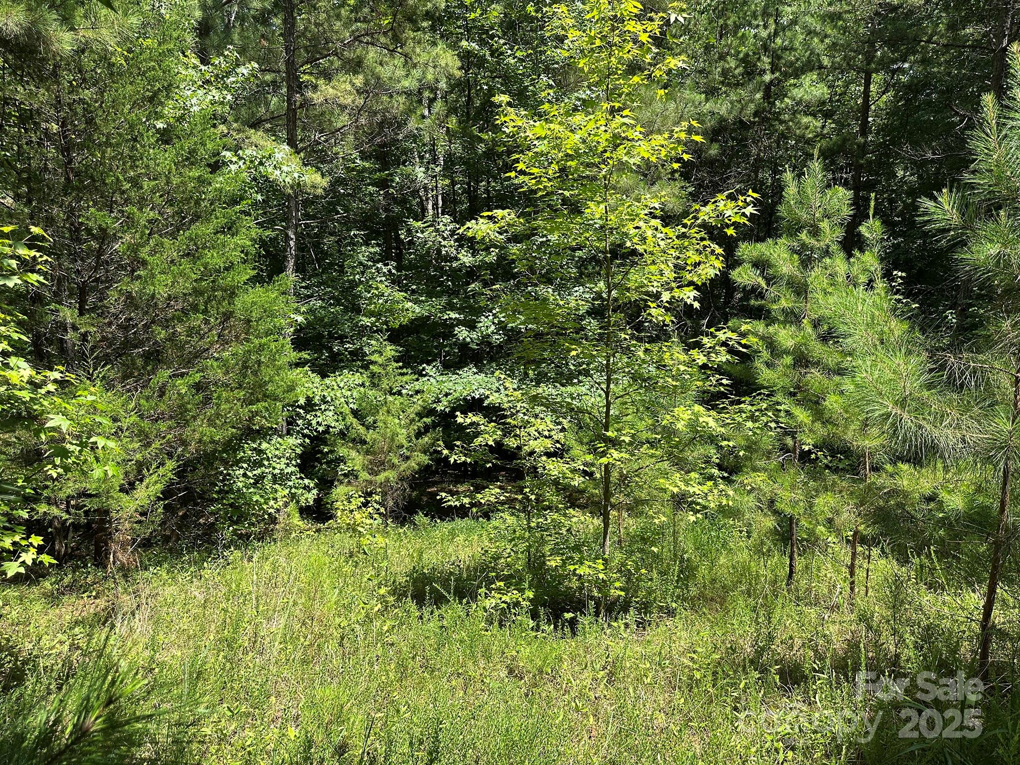 547 Stewart Rock Road Stony Point NC 28678