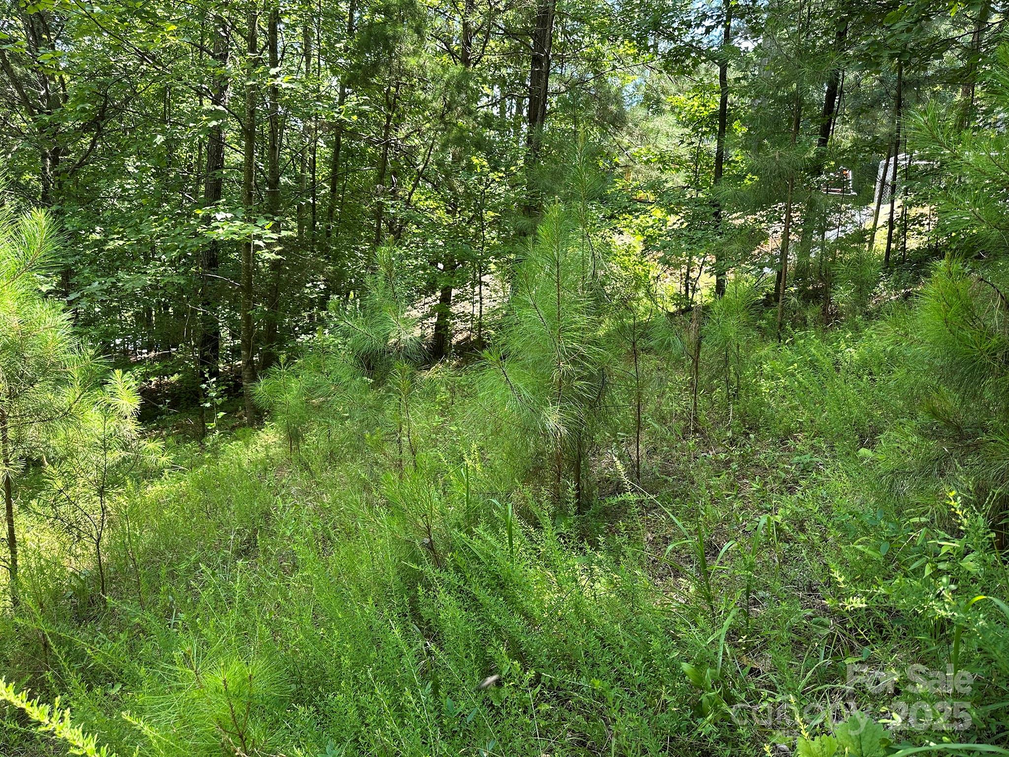 547 Stewart Rock Road Stony Point NC 28678