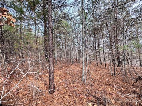 0000 Hope Drive Rutherfordton NC 28139