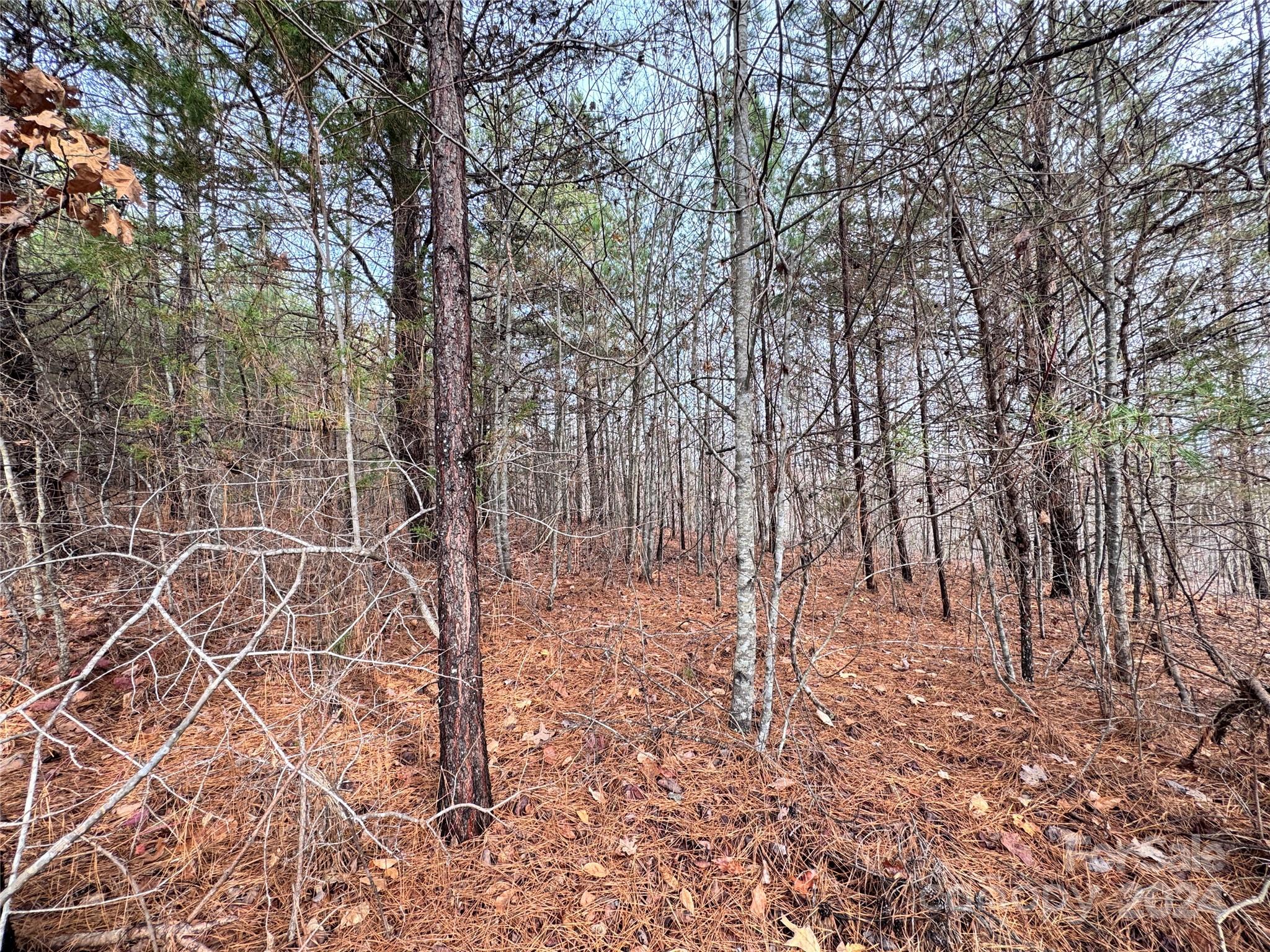 0000 Hope Drive Rutherfordton NC 28139