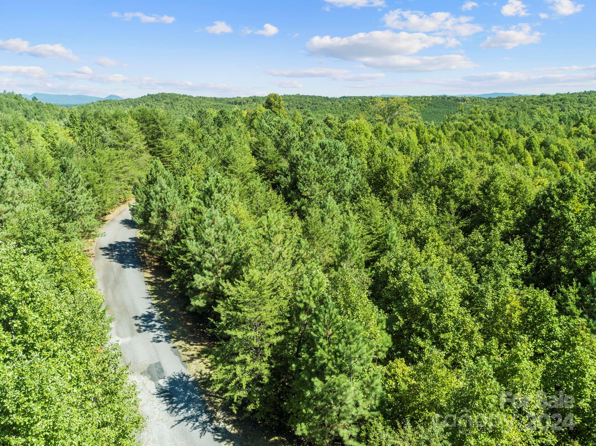 0000 Hope Drive Rutherfordton NC 28139