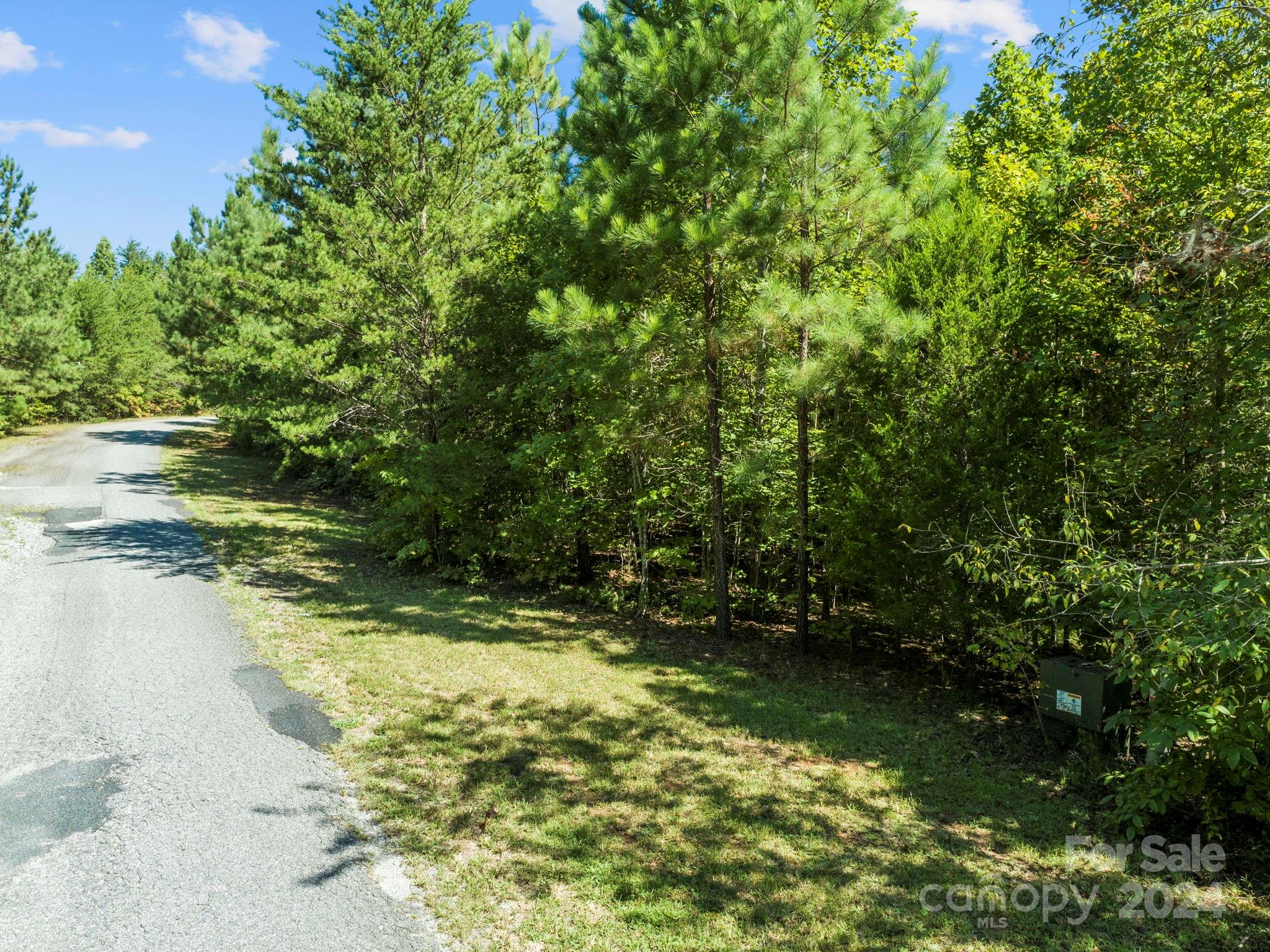 0000 Hope Drive Rutherfordton NC 28139