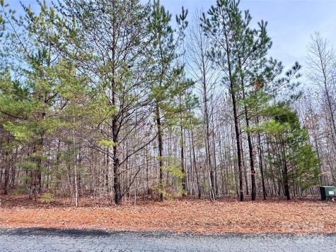 0000 Hope Drive Rutherfordton NC 28139