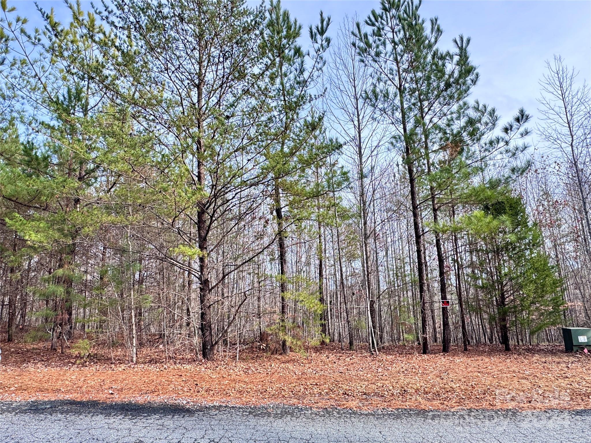 0000 Hope Drive Rutherfordton NC 28139