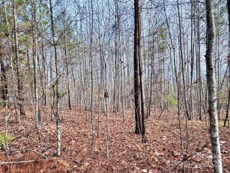 0000 Hope Drive Rutherfordton NC 28139