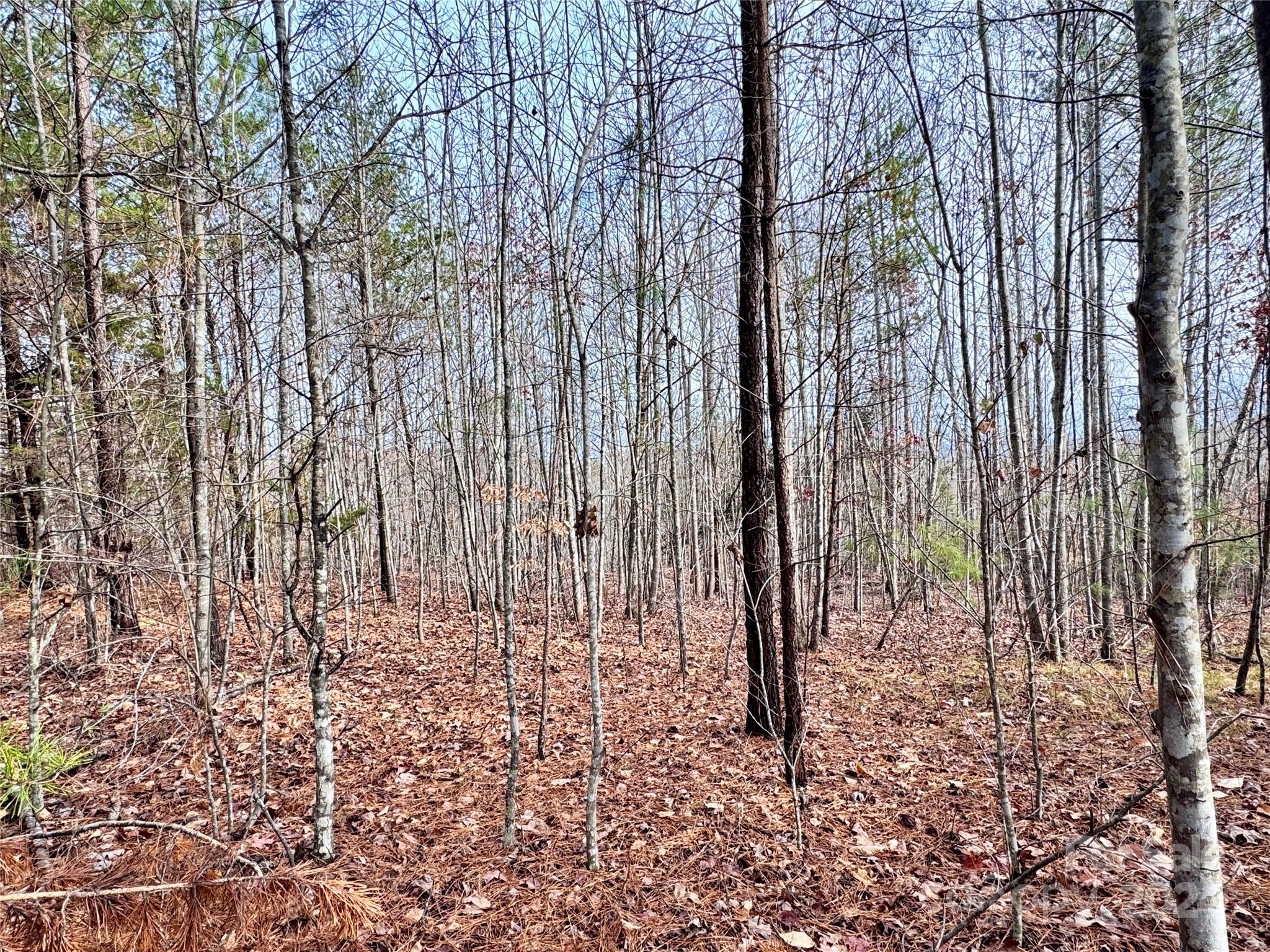 0000 Hope Drive Rutherfordton NC 28139