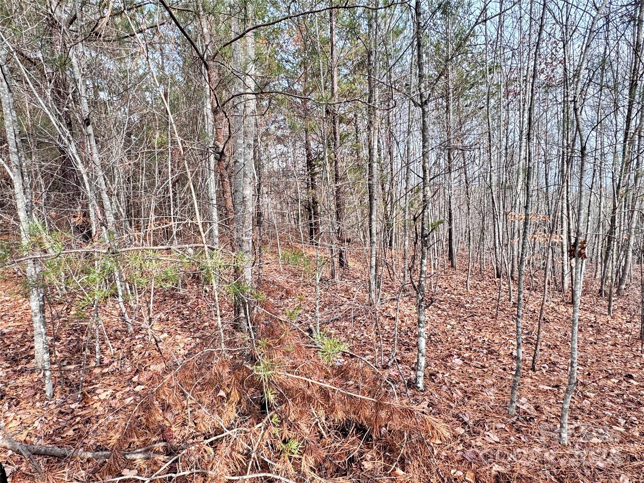 0000 Hope Drive Rutherfordton NC 28139