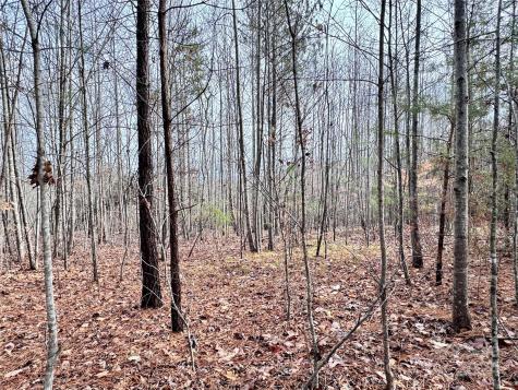 0000 Hope Drive Rutherfordton NC 28139
