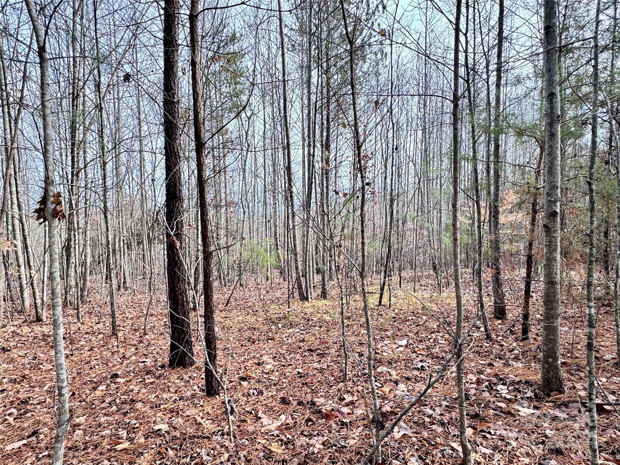 0000 Hope Drive Rutherfordton NC 28139