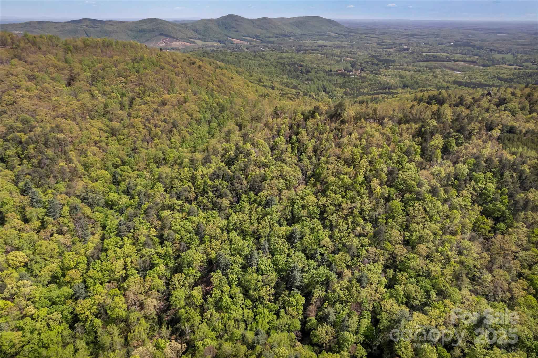 231 Brighton Drive Bostic NC 28018